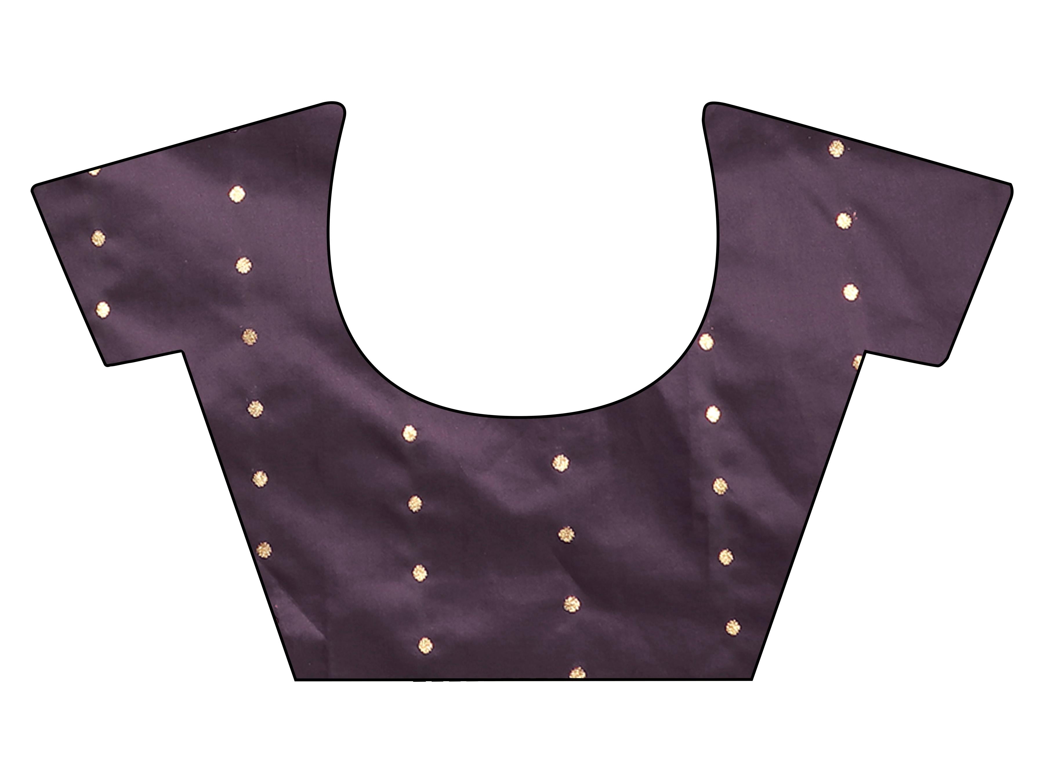 Mauve colored crunchy saree with sequinned lace and brocade blouse