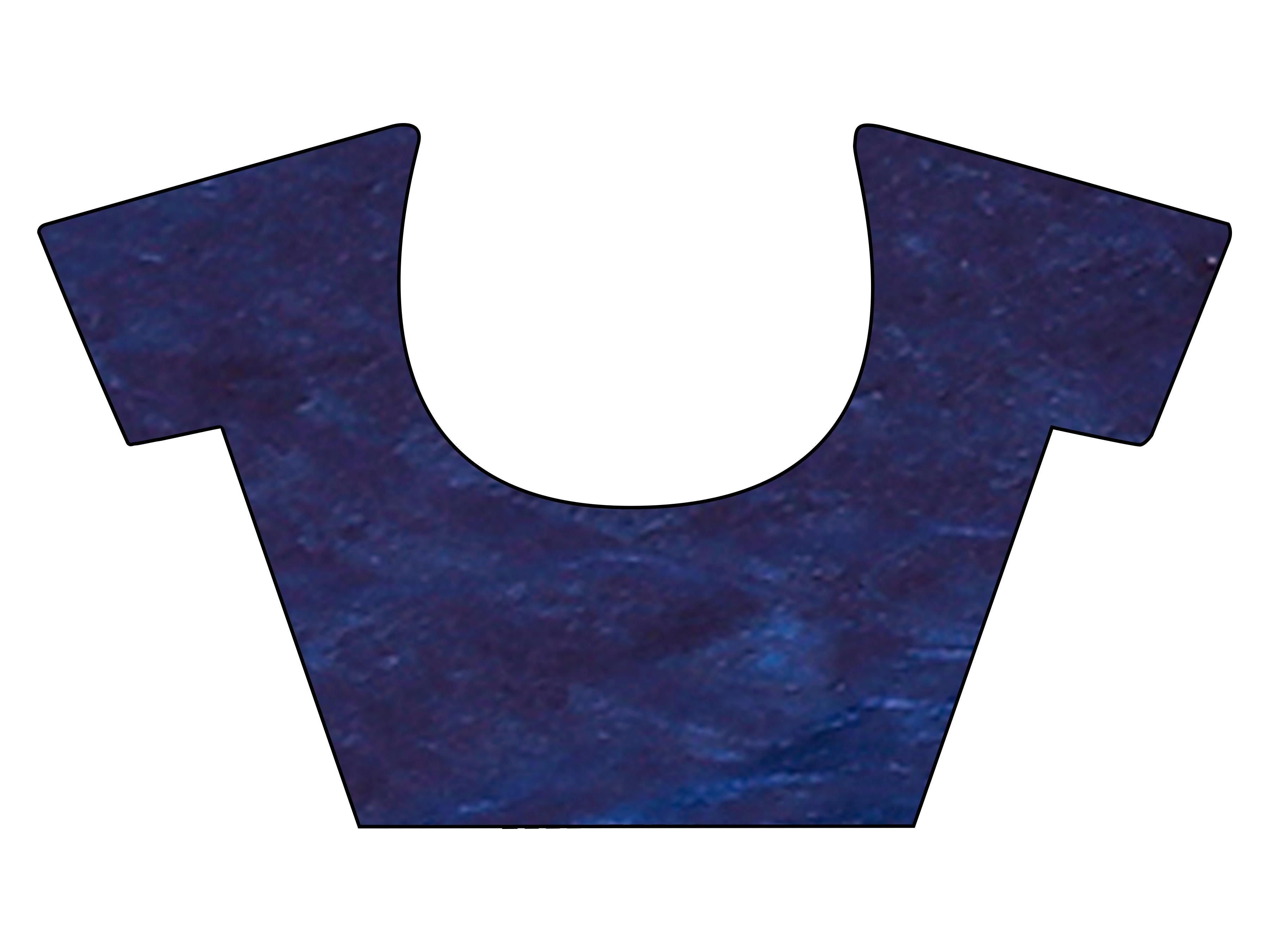 Two-way two-tone purple and blue colored  jimmychoo saree with tassels on pallu