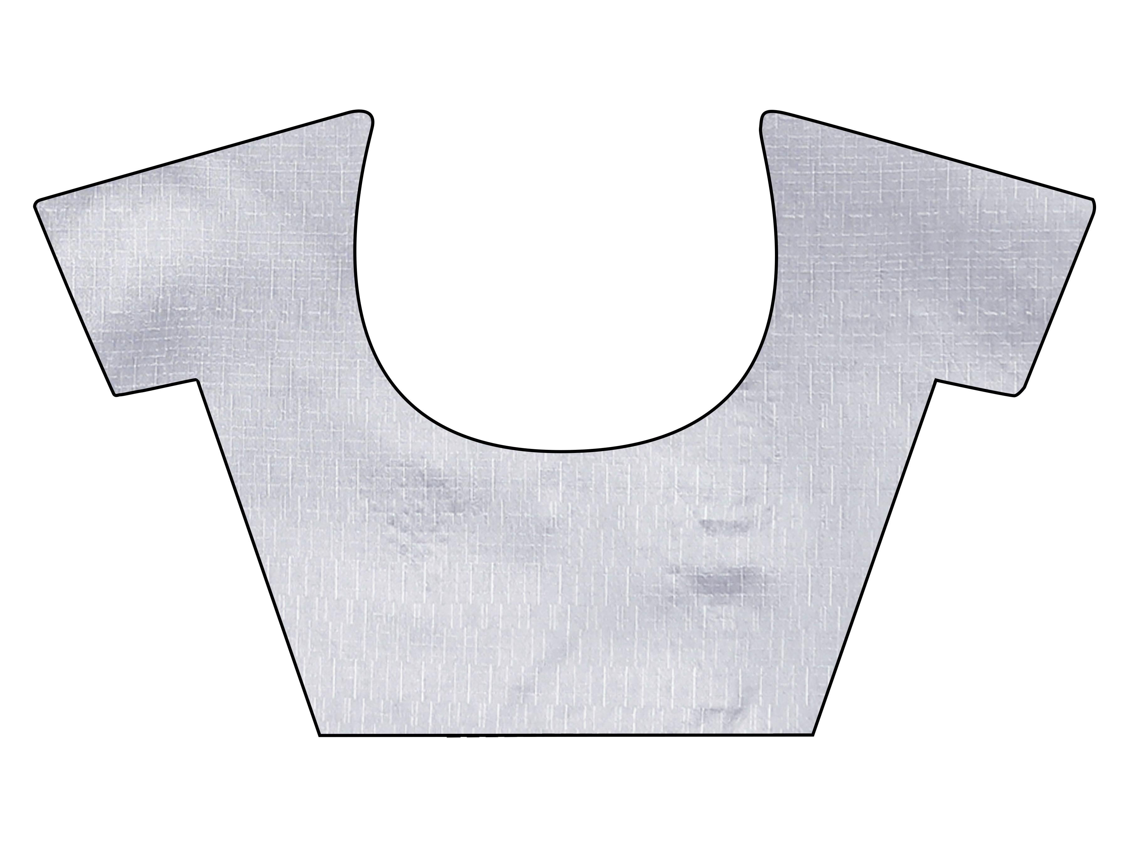 gold colored designer shimmer net saree with mirror work border