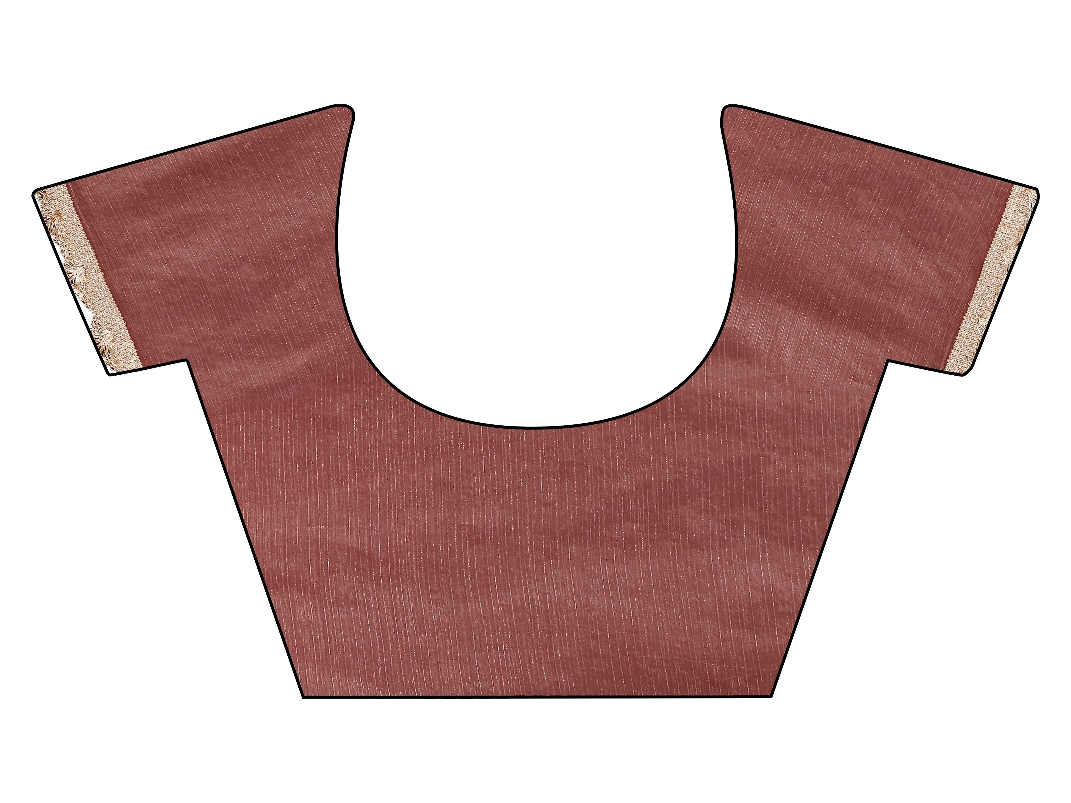 Ombre colored jimmy choo saree with embellished work