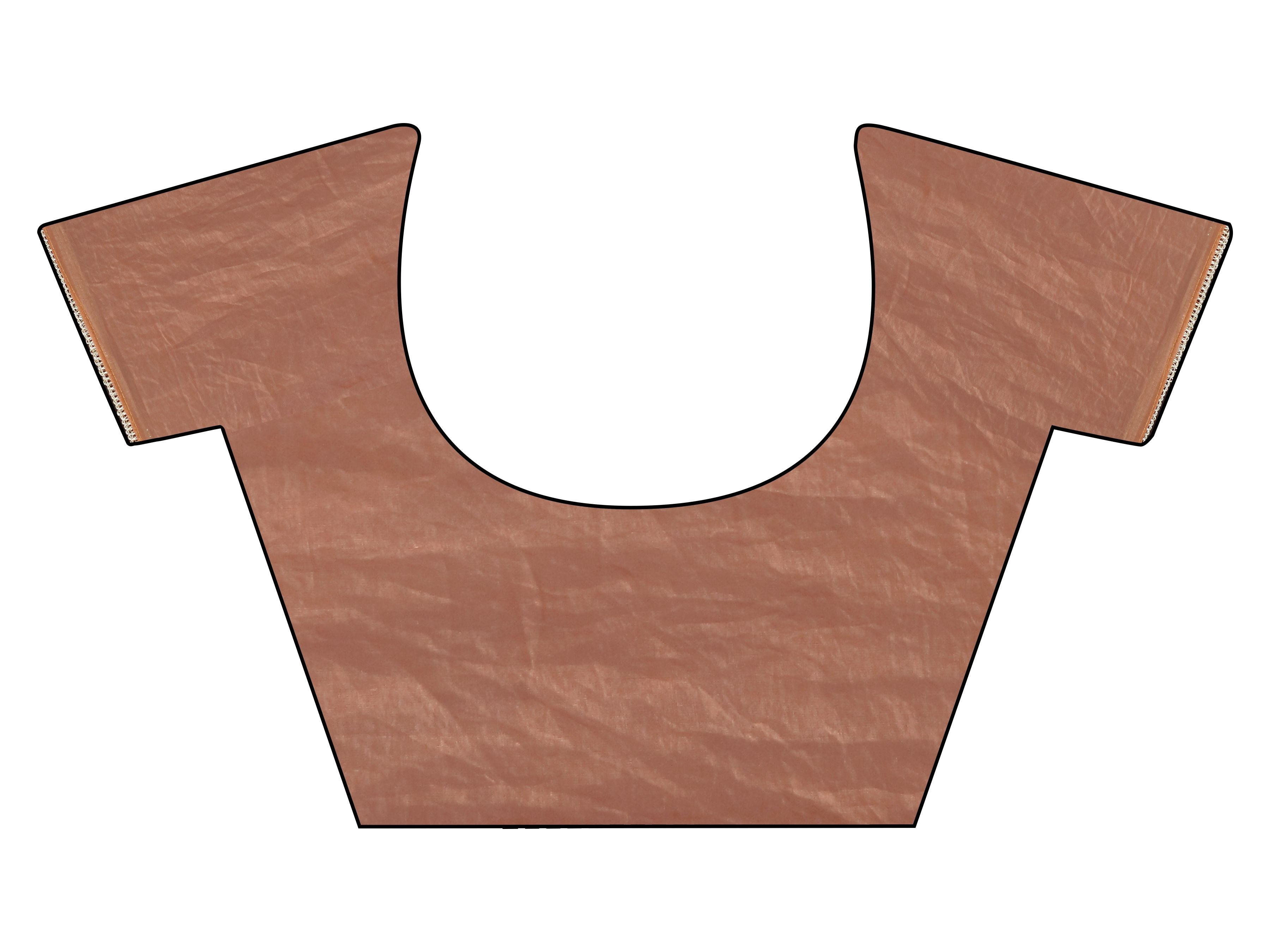 Dark Camel brown colored designer saree with swaroski work on shoulder portion and embellished borderf