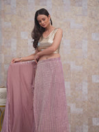 Tikhi Imli Ready To Wear Pink Foil Embellished Saree with Unstitched Blouse